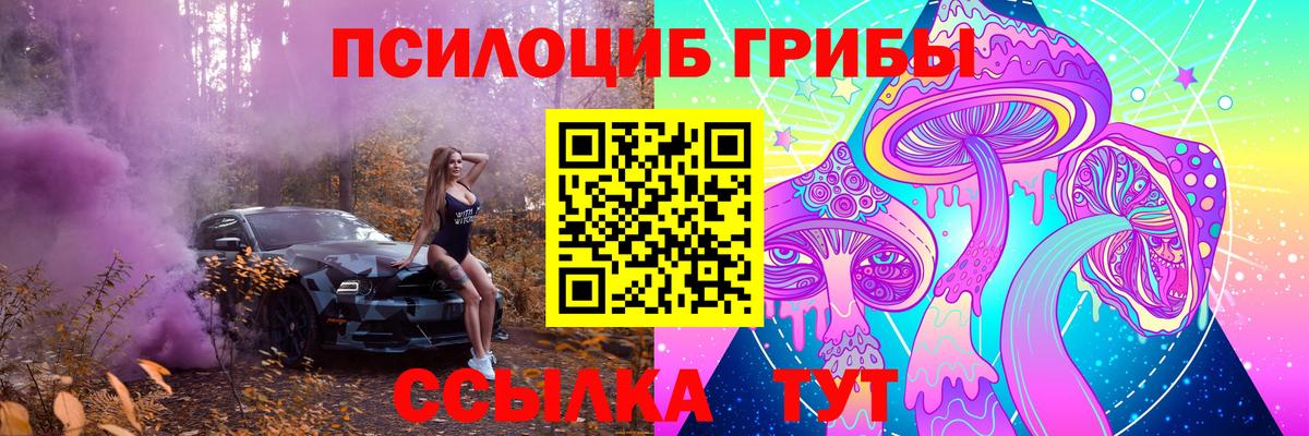 Галлюциногенные грибы GOLDEN TEACHER  Вход с VPN  Саранск 