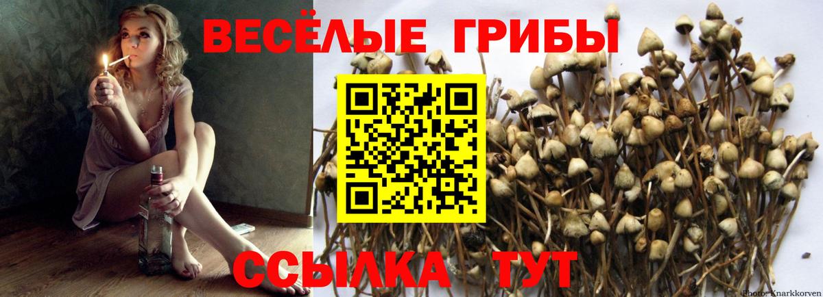 Галлюциногенные грибы MAGIC MUSHROOMS Саранск